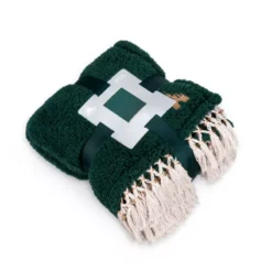 Fantasyland Castle Throw -Disney Sales 465043673817 4