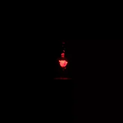 Enchanted Rose Light-Up Living Magic Sketchbook Ornament, Beauty And The Beast -Disney Sales 465062942390 1