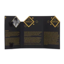 Moana Disney Designer Collection Hinged Pin -Disney Sales 466042599924 3