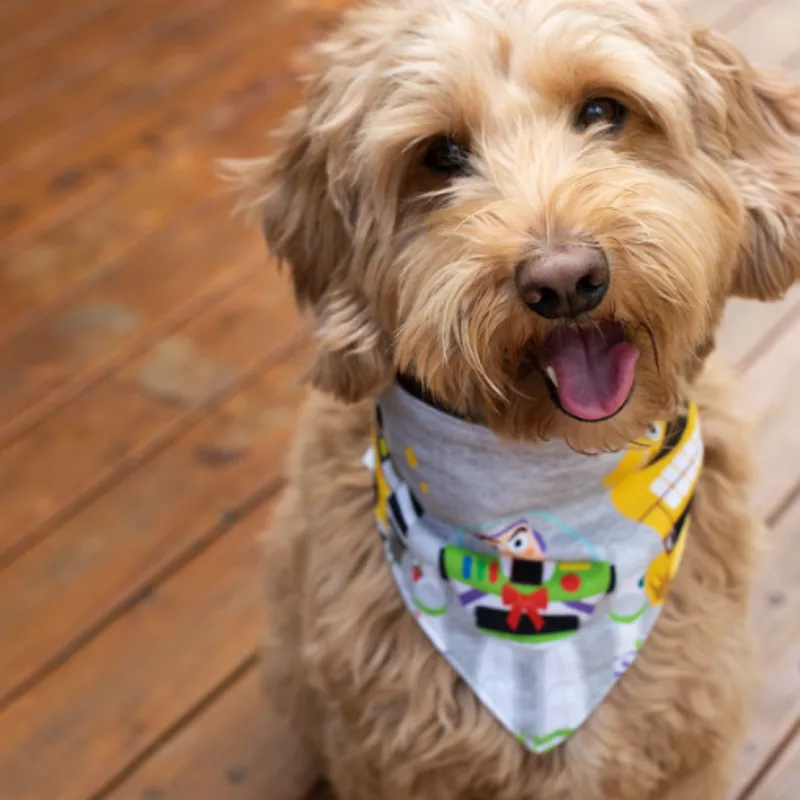 Pixar Holiday Bandana Set For Dogs 6 Pixar Holiday Bandana Set For Dogs - Image 4